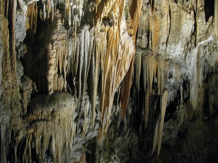 Незабываемая экскурсия по Словении: Постойная Яма и Предъямский замок (фото 5)