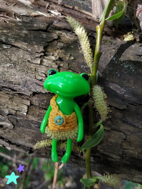 Wonderfrog. Красота в простоте