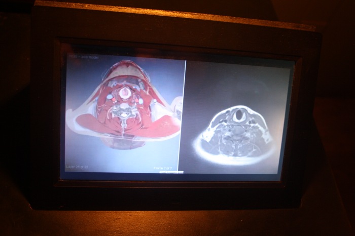 Петербург. Музей НЕправды (18+). Часть 1