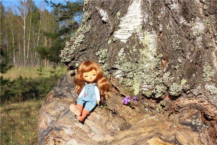 Прогулка Софи. Lati HoneyBee New Mystic Sophie | Бэйбики Прогулка Софи. Lati HoneyBee New Mystic Sophie