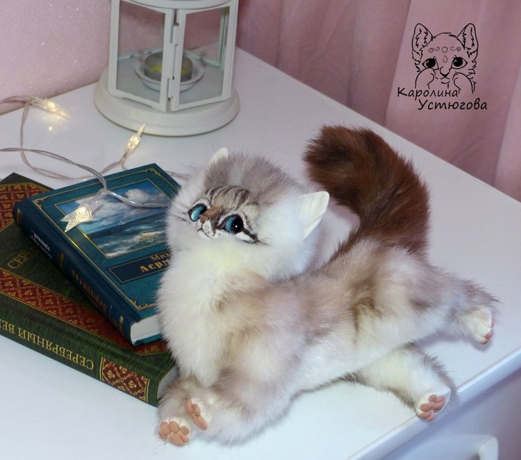 Котенок породы : Невский Маскарадный, окрас сил тэбби пойнт