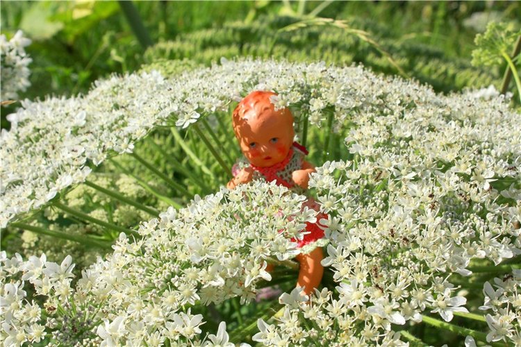 Путешествие Эли на красивый берег реки Волги