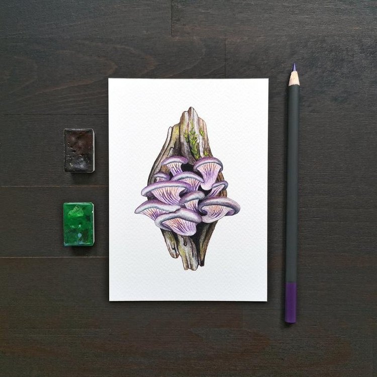 SnailMaidenStudio - Акварельные иллюстрации маленьких живых существ (фото 2)