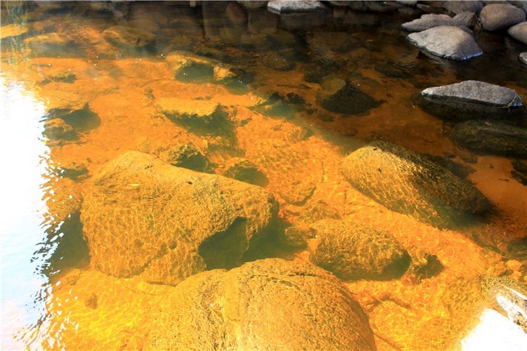 Путешествие Dal Hangry в Грузины