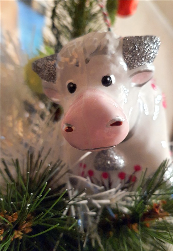 Новогоднее Волшебство 2021 года (фото 6)