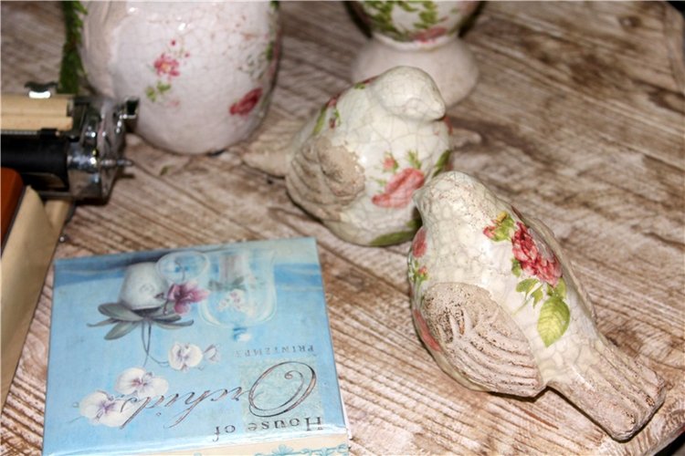 Тверской Ботанический Сад, продолжение | Бэйбики Тверской Ботанический Сад, продолжение