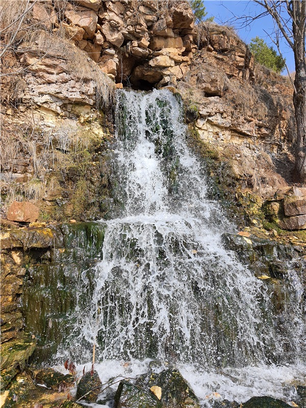 Путешествие Имани в ПанИку (фото 2)