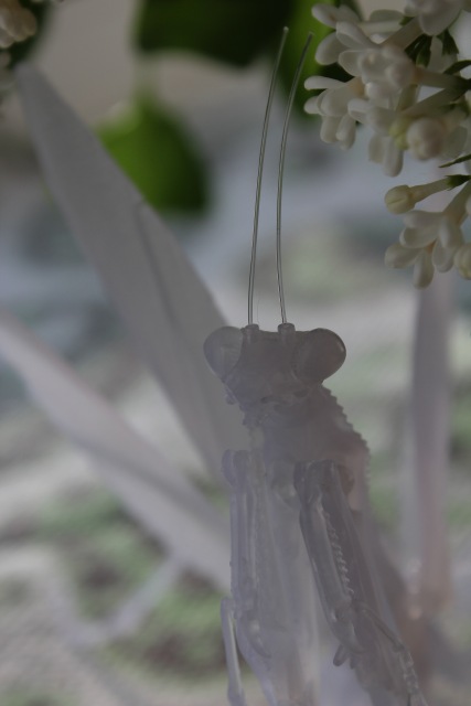 Нежный хищник | Бэйбики Нежный хищник — Коллекционные экшн (фото 6)