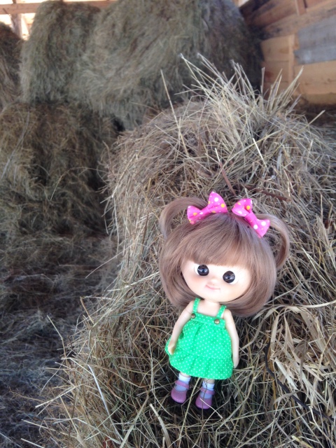 Как мы побывали в Некотором царстве ... с Mui-chan