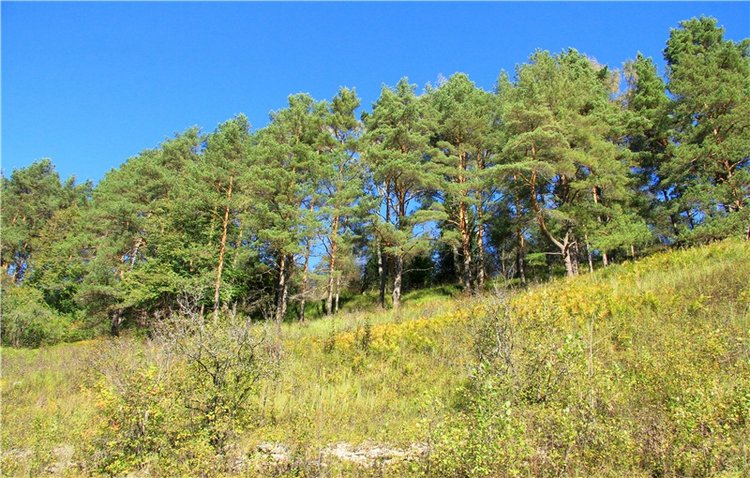 Старицкая Швейцария. Старицкие пещеры, д. Толпино, заключительная часть