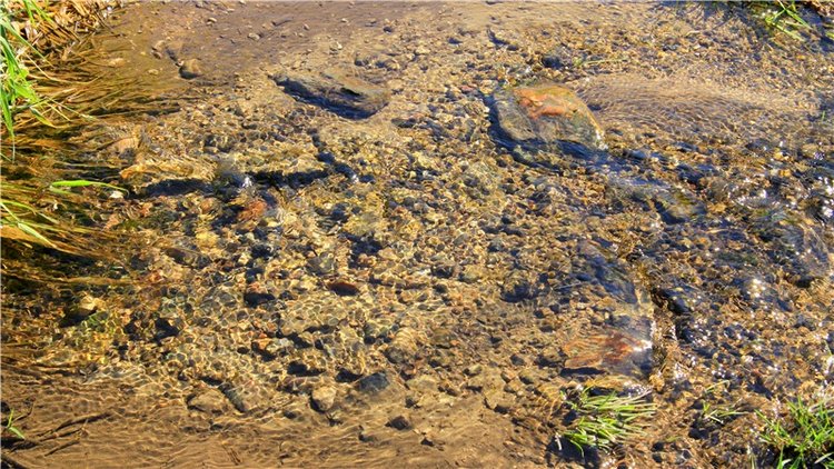 Старицкая Швейцария. Старицкие пещеры, д. Толпино, заключительная часть