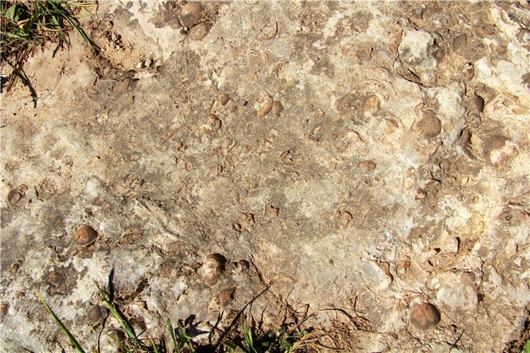 Старицкая Швейцария. Старицкие пещеры, д. Толпино, заключительная часть