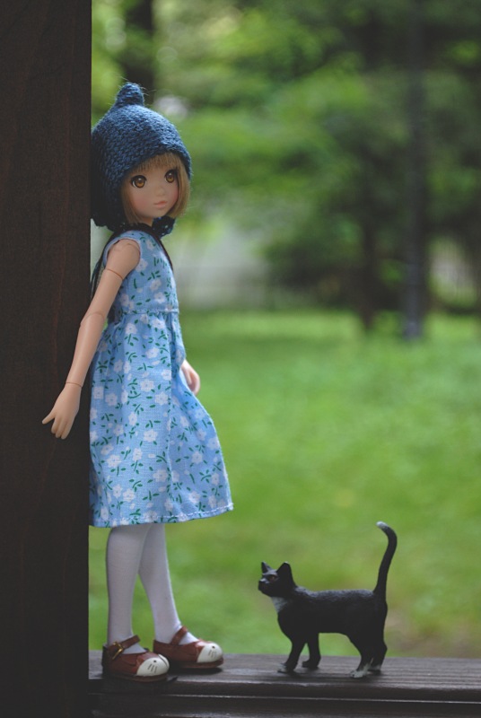 Девочки и их приключения или Ruruko от Petworks | Бэйбики Девочки и их приключения или Ruruko от Petworks (фото 3)