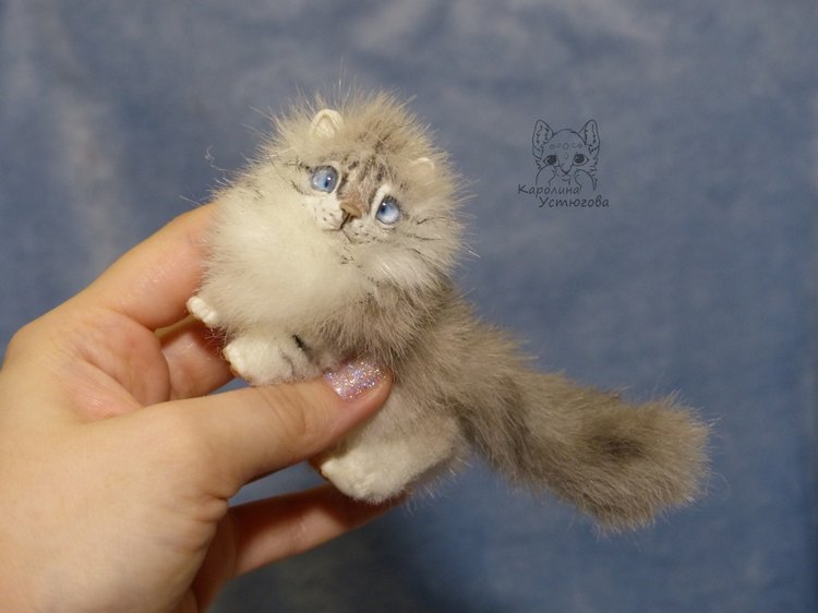 Котята Невские маскарадные, окрас Тэбби пойнт