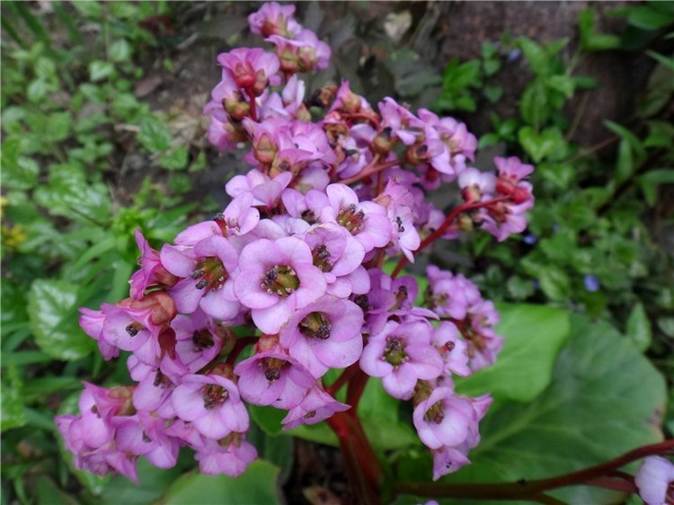 Милый мой город. Прогулка по Твери (фото 4)