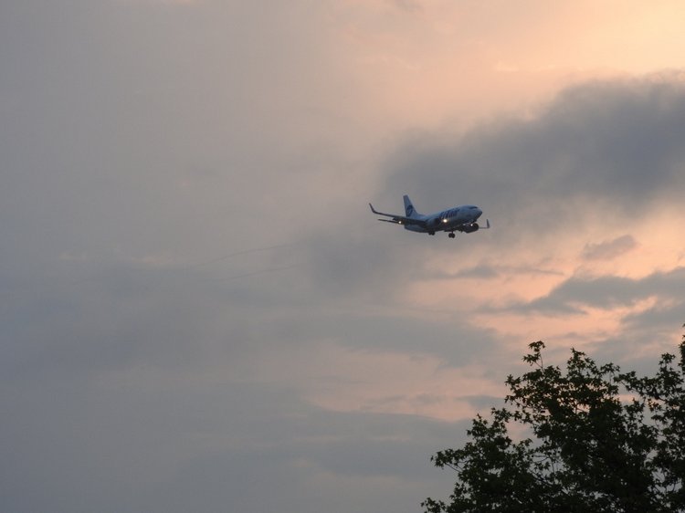 Сочи-Адлер: Южное Взморье - наблюдения за самолетами (фото 3)