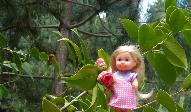 Сочи-Адлер: Южное Взморье - Мои любимые куколки на отдыхе