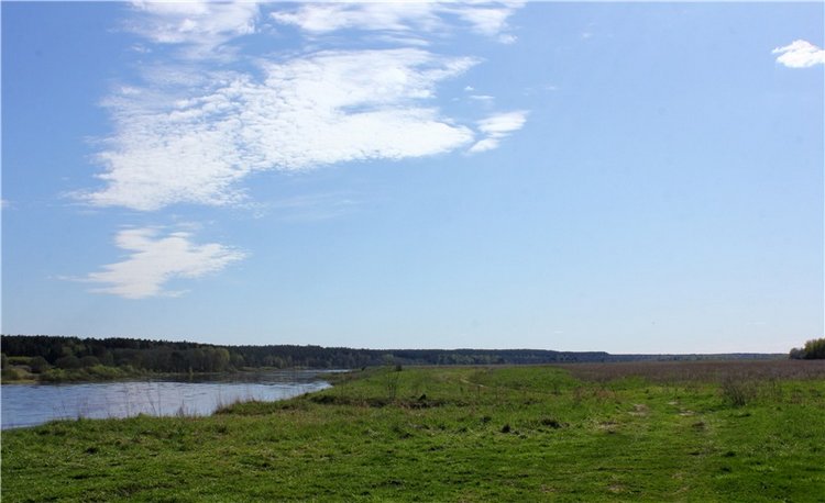 Долгая дорога к Волге. Custom Blythe Doll UFO Go Go Takara