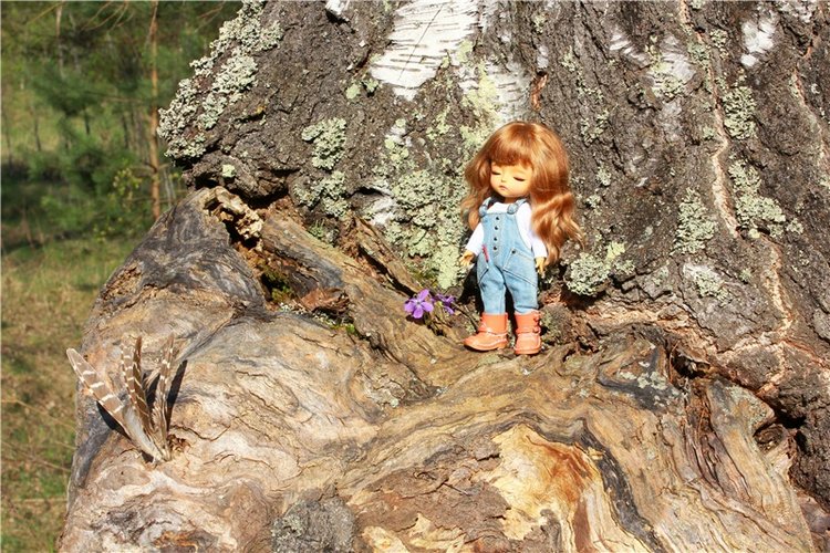 Прогулка Софи. Lati HoneyBee New Mystic Sophie | Бэйбики Прогулка Софи. Lati HoneyBee New Mystic Sophie