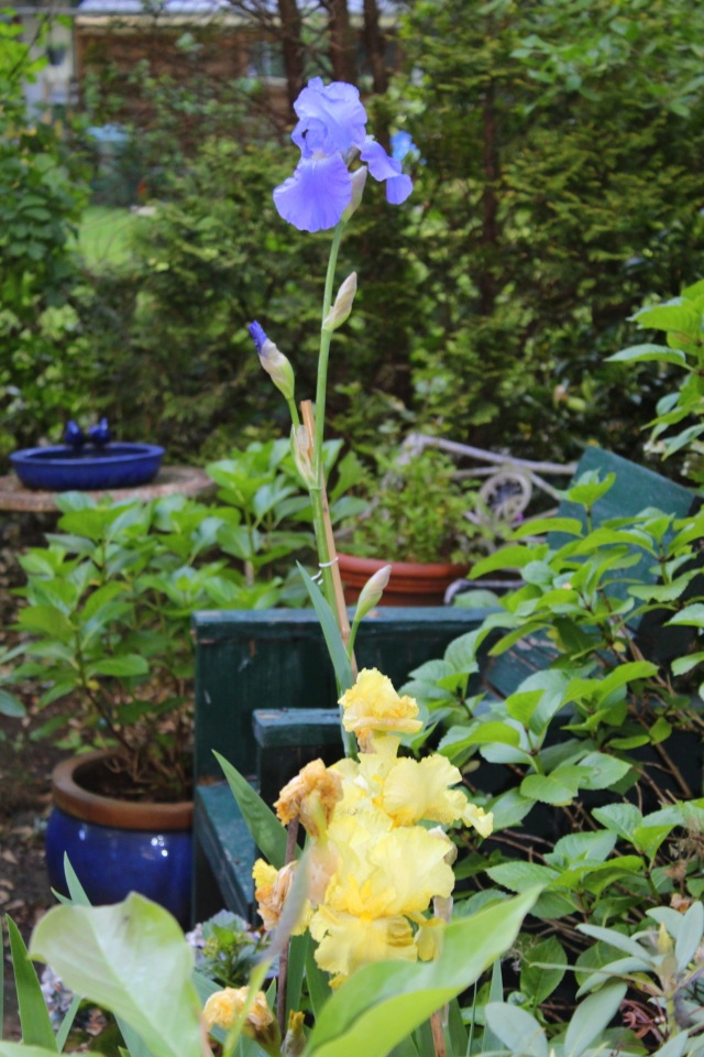 Любовь нечаянно нагрянет — Фэшн