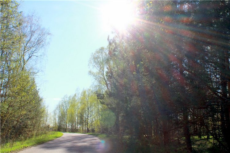 Прогулка Софи. Lati HoneyBee New Mystic Sophie | Бэйбики Прогулка Софи. Lati HoneyBee New Mystic Sophie