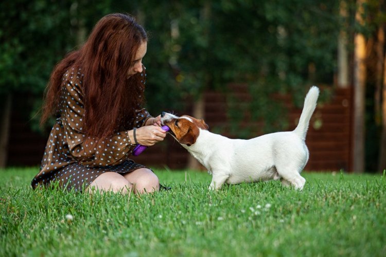 В гостях у STEPHA dolls! Biggers, Миниамигес, Вестида де Азул