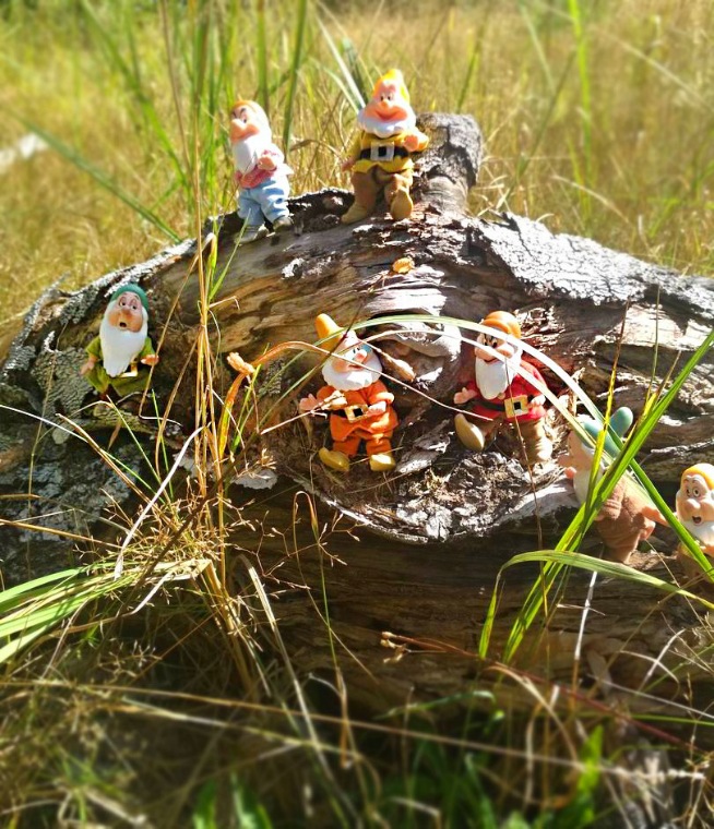 Осеннею порой под старою сосной... Принц, Белоснежка и гномы... встречаются