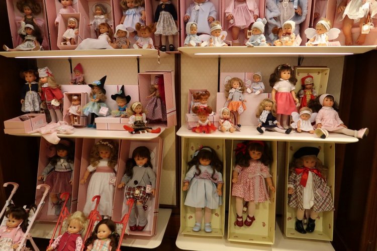 Знакомьтесь, новый вид медведей - медведь сумочный