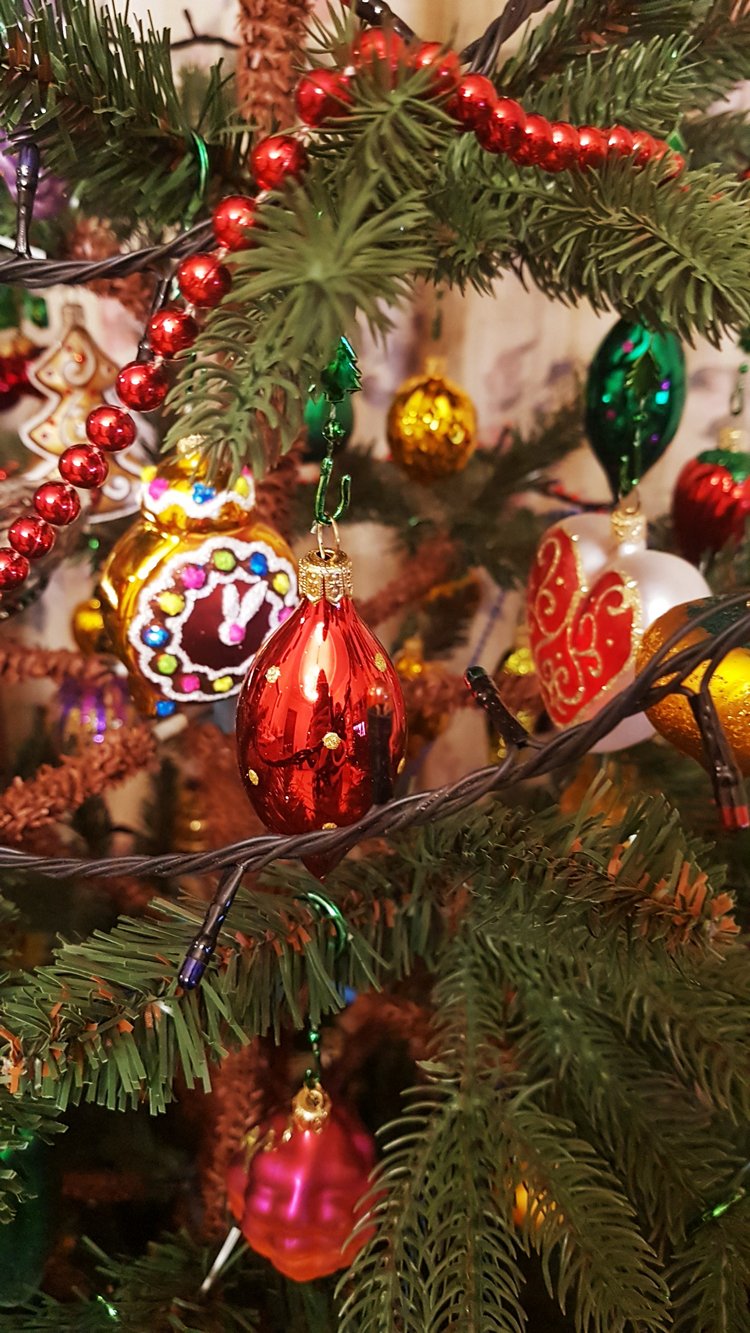 В степи родилась ёлочка, в жару она росла