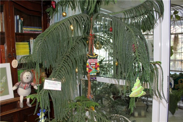 Тверской Ботанический Сад