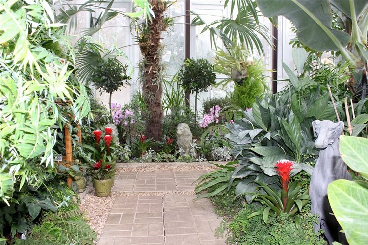 Тверской Ботанический Сад, продолжение | Бэйбики Тверской Ботанический Сад, продолжение