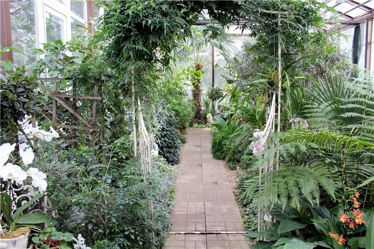 Тверской Ботанический Сад, продолжение | Бэйбики Тверской Ботанический Сад, продолжение (фото 2)