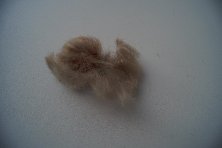 Вторая июньская выписка. Одни девочки! Кукла-загадка от Энергосбыта разгадана (фото 7)