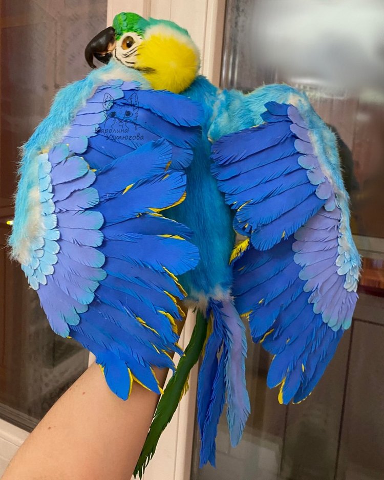 Попугай Ара. Желто-голубой (фото 5)