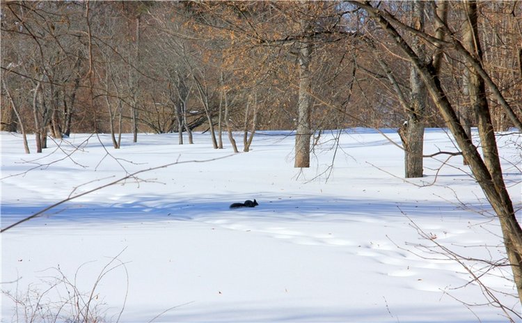 Снежный Март — Туризм и путешествия: фотоотчеты из поездок