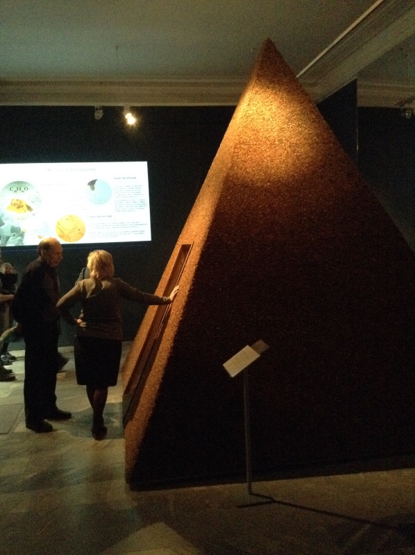 Милая сердцу Божедомка. Ч.5. Выставка "Парк янтарного периода". "Слезы Гелиад". "Янтарь и куклы"