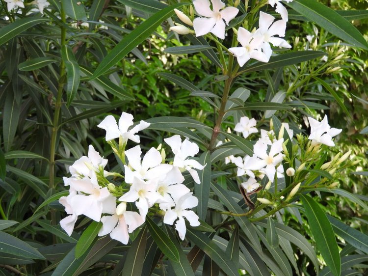 Краснодарский Край, Сочи-Адлер, Санаторий «Южное Взморье»