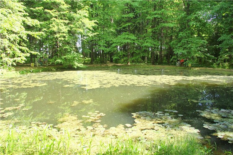 Я ехал к Вам! Пушкинский праздник в Берново, 2018 год