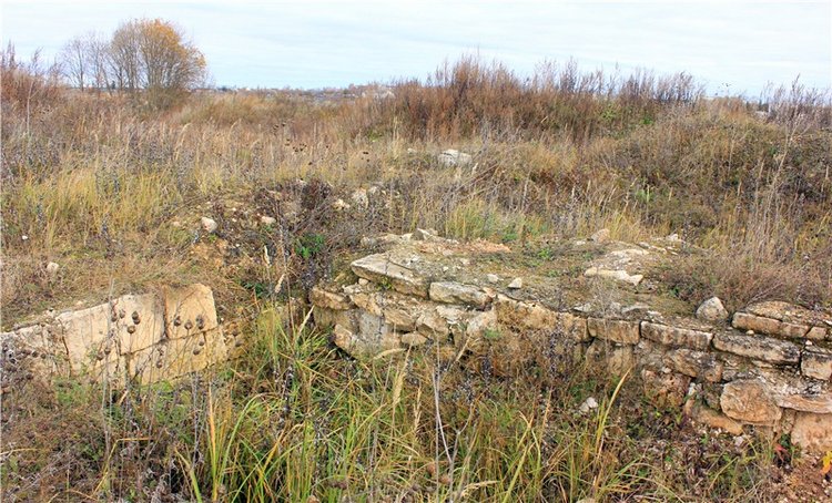 Осеннее путешествие с Мишей. Zwergnase Mischa | Бэйбики Осеннее путешествие с Мишей. Zwergnase Mischa