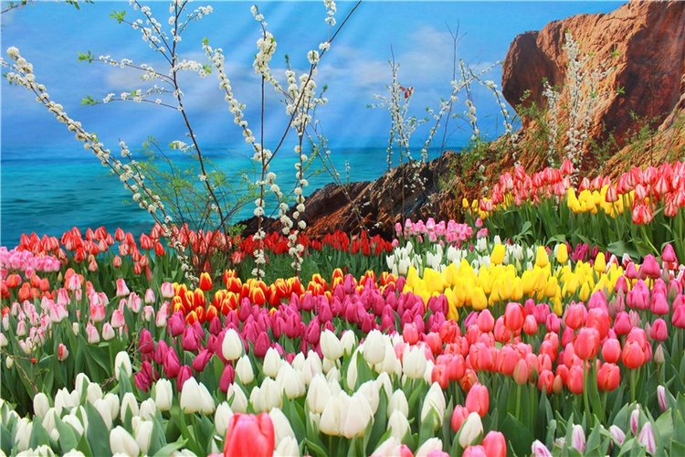 Тюльпановый Рай. Выставка тюльпанов в Твери. Mini Layla elf Sunkissed skin от Kaye Wiggs