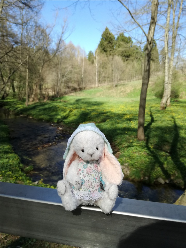 Один раз в год сады цветут