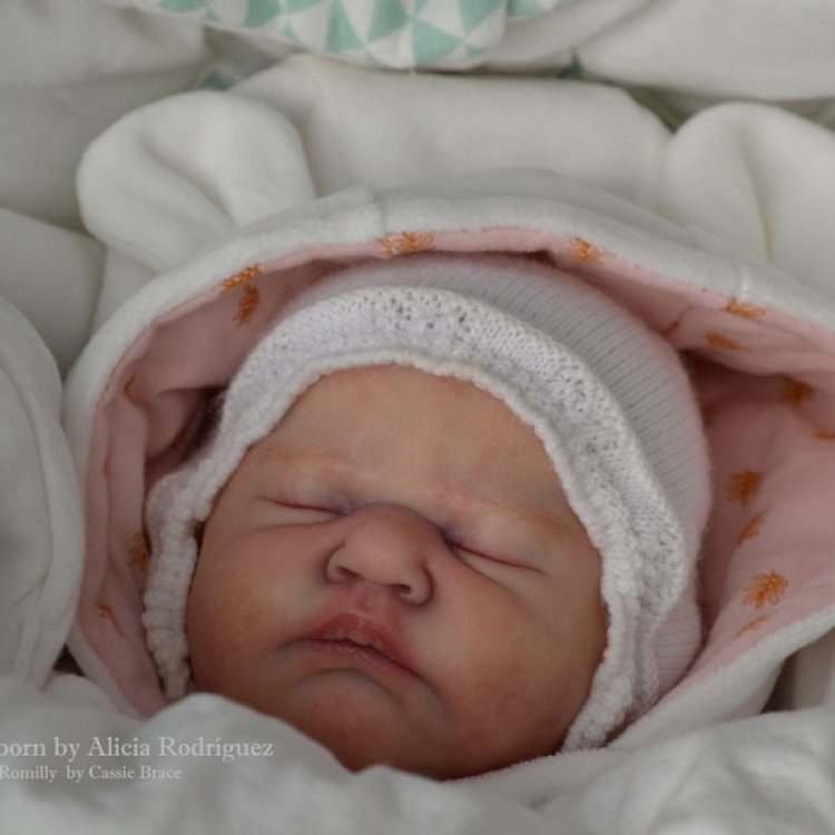 Молд Romilly скульптор Cassie Brace (фото 6)