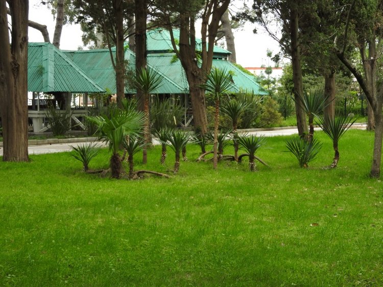 Сочи-Адлер: Южное Взморье - виртуальное путешествие по территории санатория