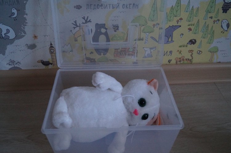 Как Агаша кошечку шила — Другие хобби и увлечения: сад