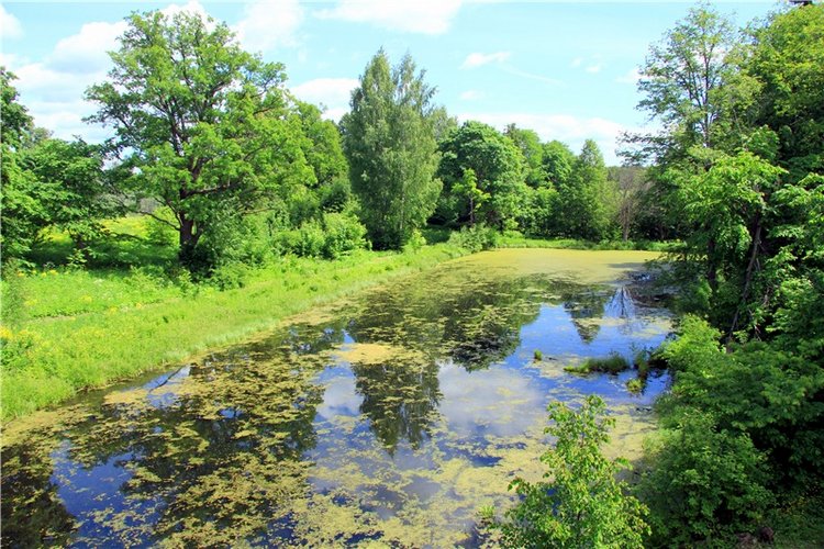 "Троицкие гуляния" в Василёво, 2018 год. Архитектурно-этнографический музей под открытым небом Василёво