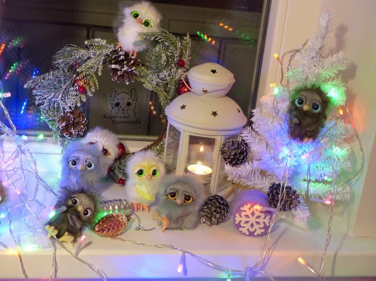 Совята в ожидании Новогодних праздников (фото 7)
