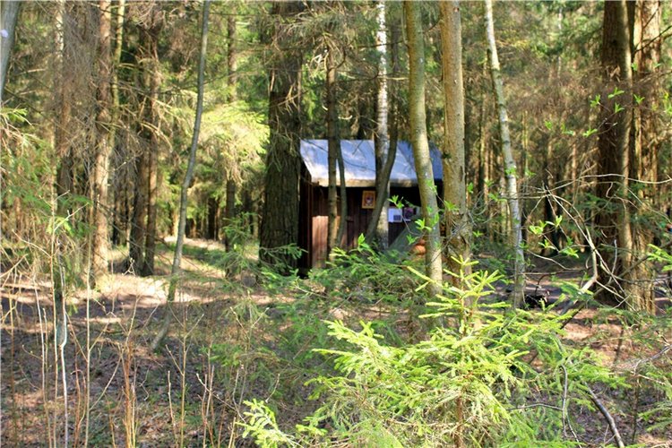 Савватьева Пустынь, Тверская область