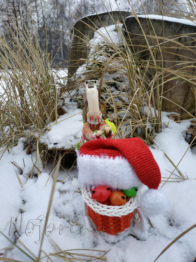 Миссис Бэйбики. Царевна - лягушка. Визитная карточка