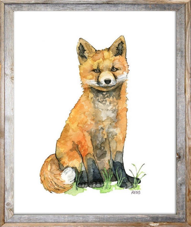 TheColorfulCatStudio - Иллюстрированная фауна by Rachel Byler