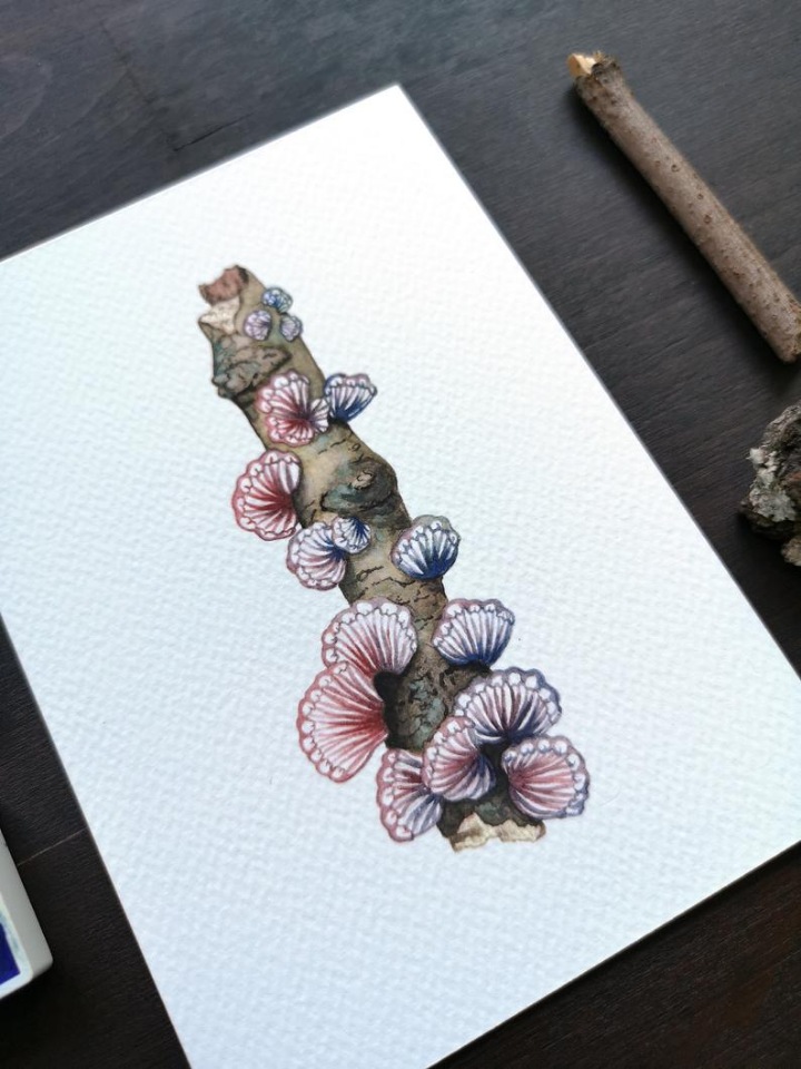 SnailMaidenStudio - Акварельные иллюстрации маленьких живых существ (фото 4)